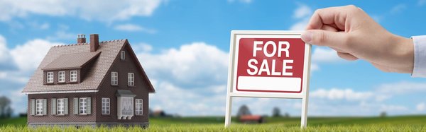 Comment vendre efficacement son bien immobilier en Guadeloupe ?